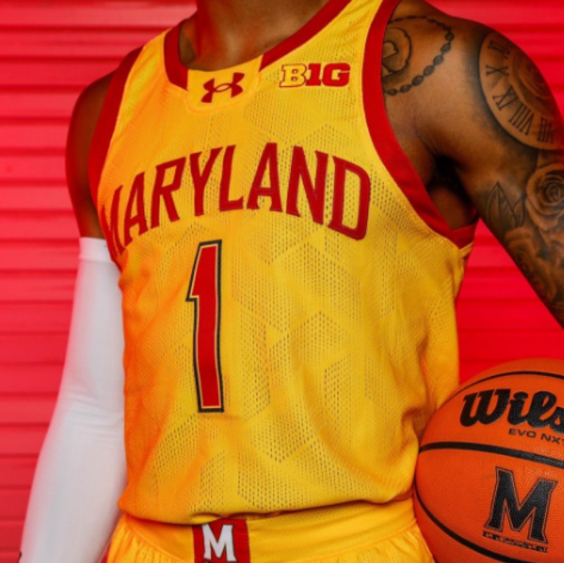 thumbnail image 2 of Maryland Terrapins Turtle Noggin – Noggin Boss 2 of 13
