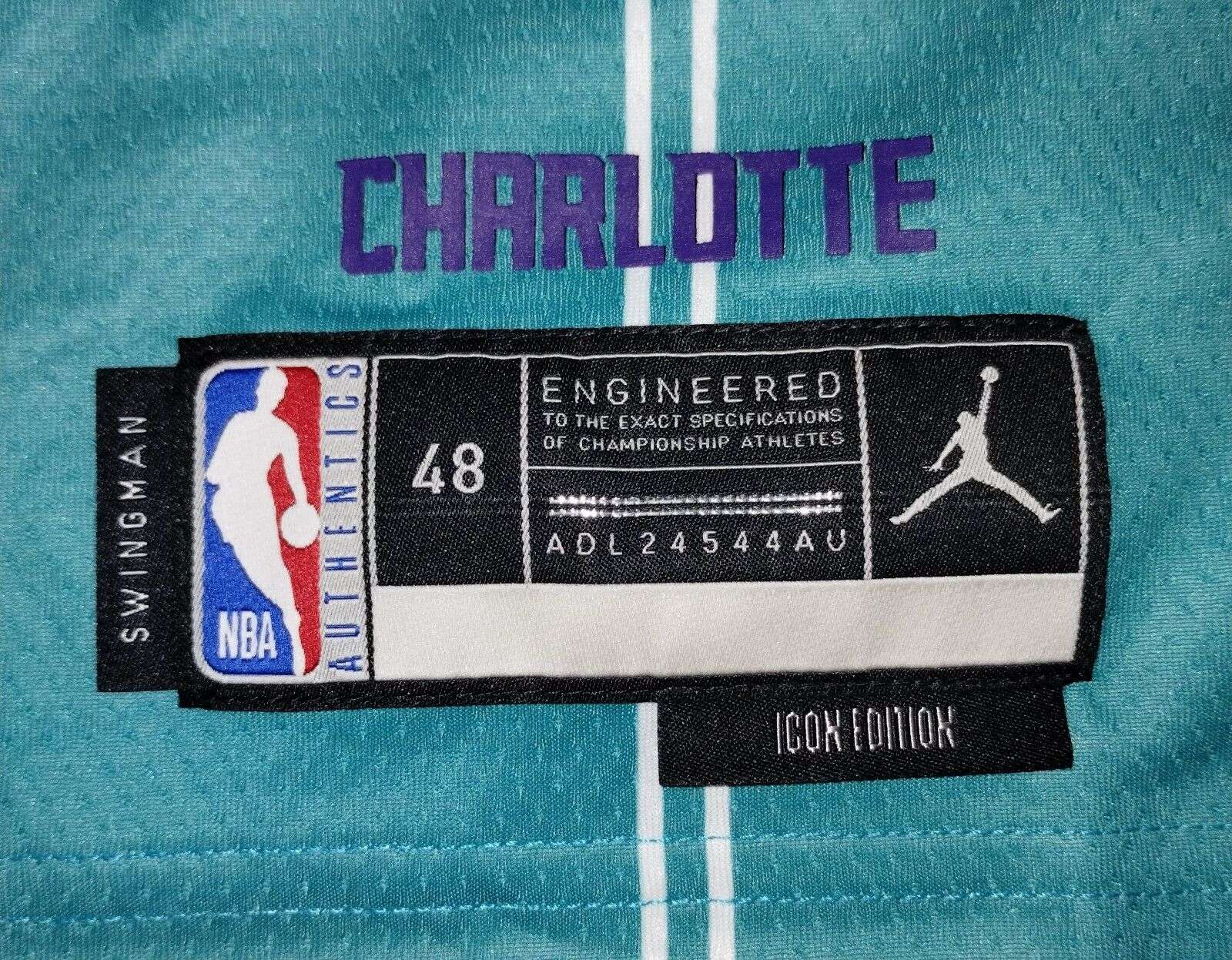 Charlotte Hornets 2022-2023 Icon Jersey