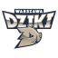 Dziki Warszawa