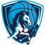 Napoli Basket